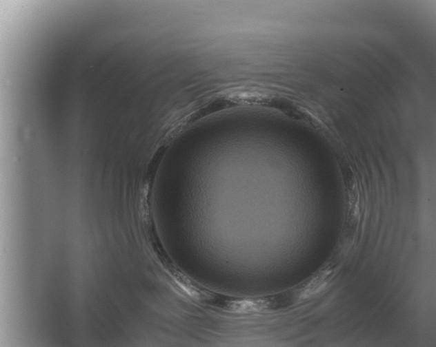 X0000058130239200509302001