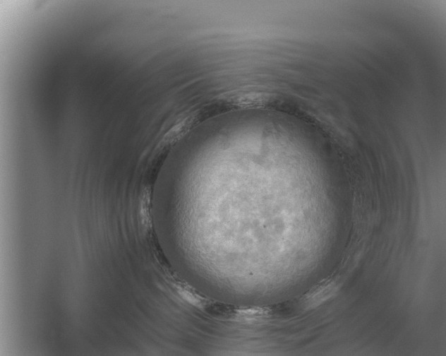 X0000058130240200509302001