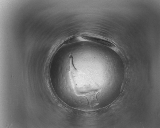 X0000058130241200509302000