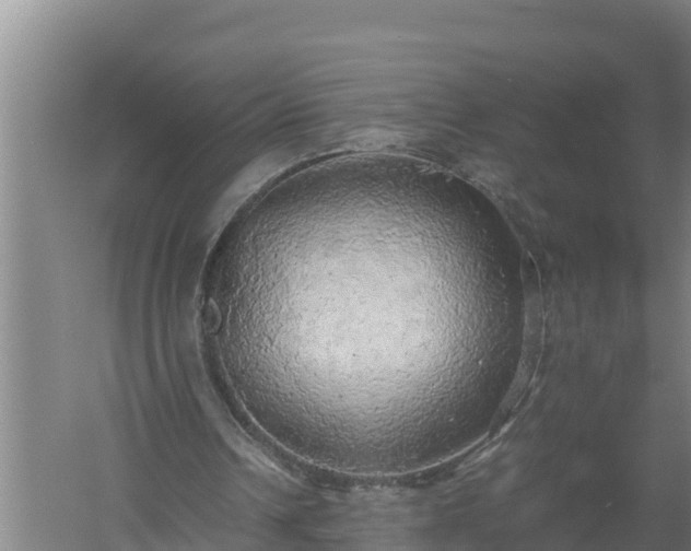 X0000058130242200509302000