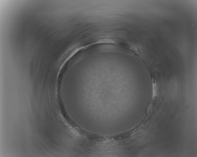 X0000058130243200509302000