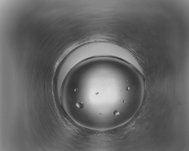 X0000058130244200509302000