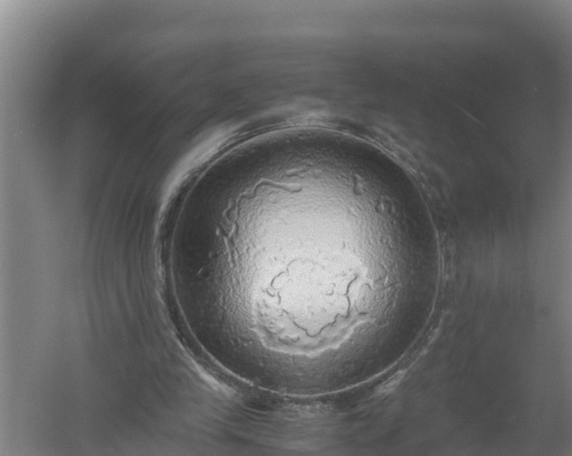 X0000058130245200509302000