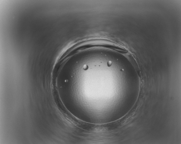 X0000058130248200509302000