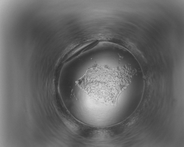 X0000058130250200509302000