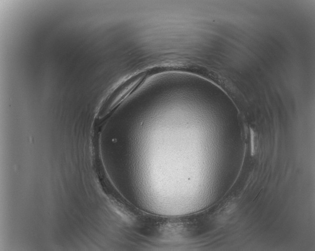 X0000058130252200509302000