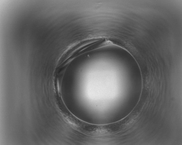 X0000058130256200509302000