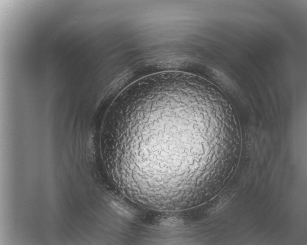 X0000058130258200509302000