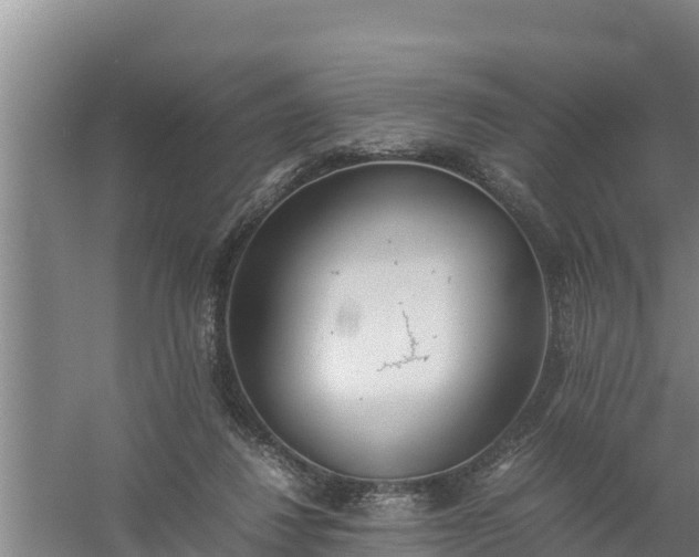 X0000058130260200509302000