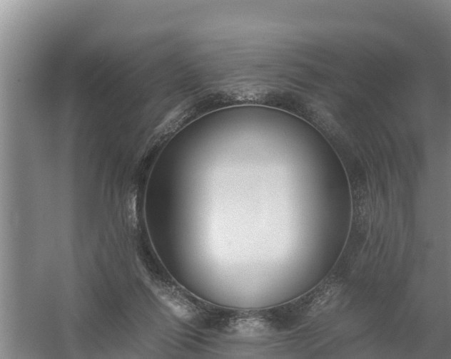 X0000058130262200509302000