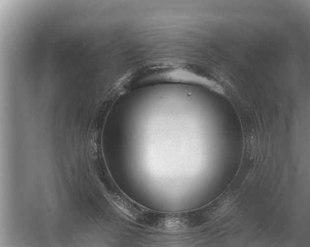 X0000058130264200509302000