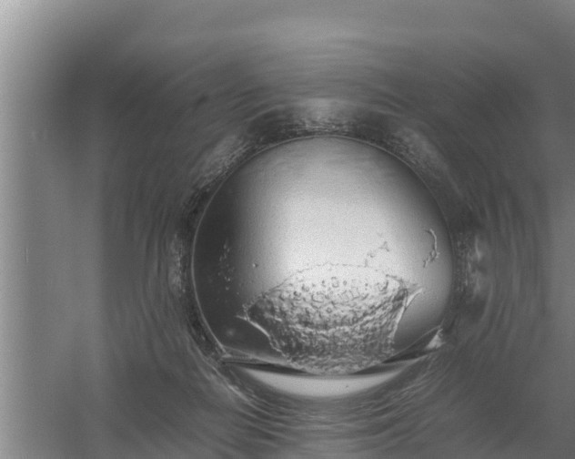 X0000058130266200509302000