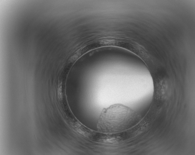 X0000058130267200509302000