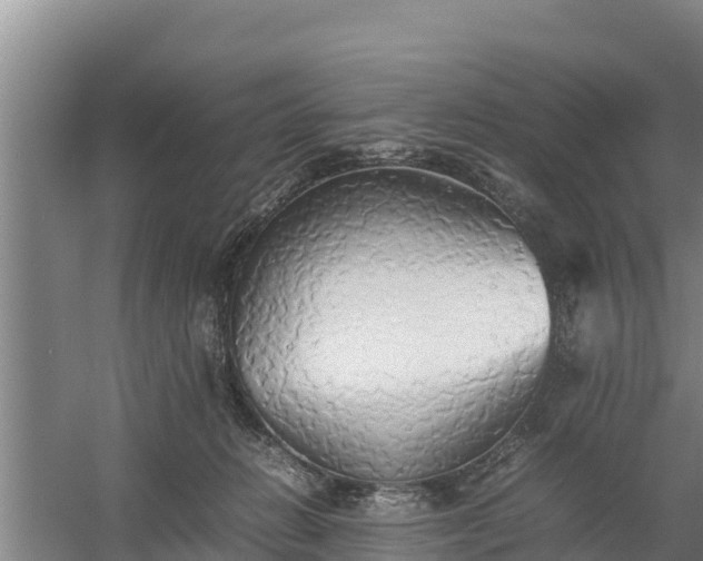 X0000058130270200509302000