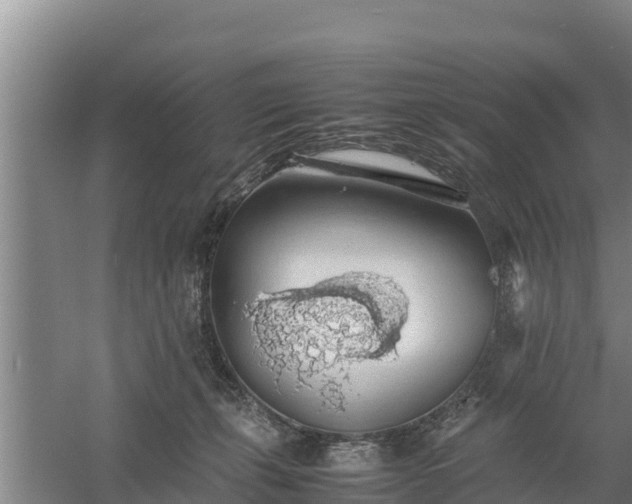 X0000058130271200509302000