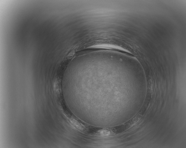 X0000058130272200509302000