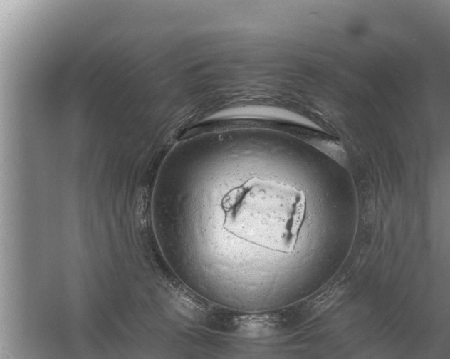 X0000058130273200509302000