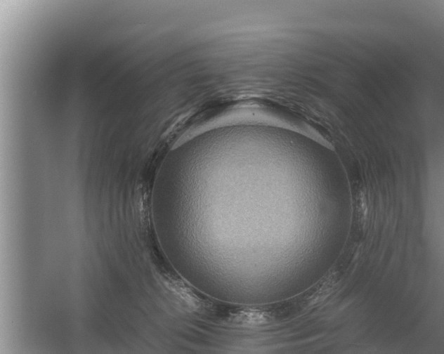 X0000058130276200509302000