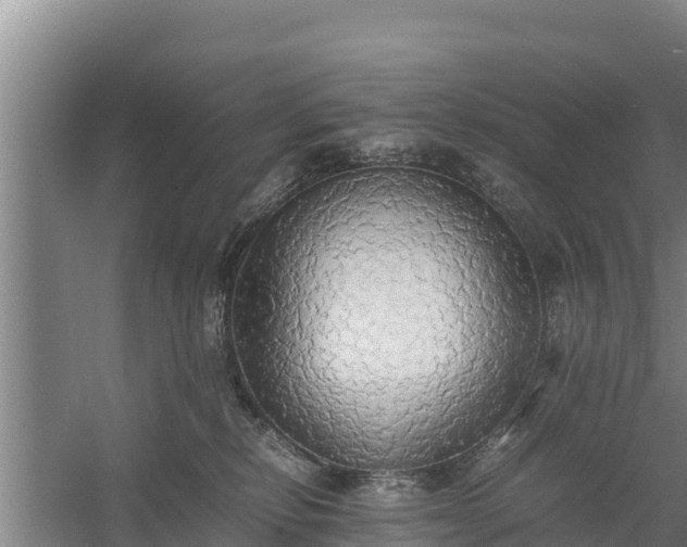 X0000058130278200509302000