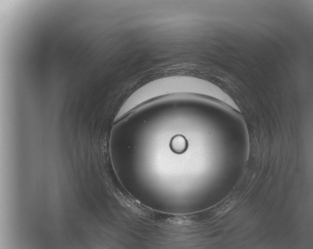 X0000058130284200509302001