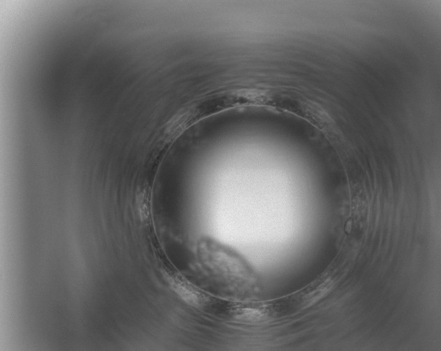 X0000058130285200509302001