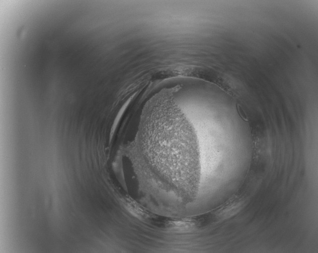 X0000058130286200509302001