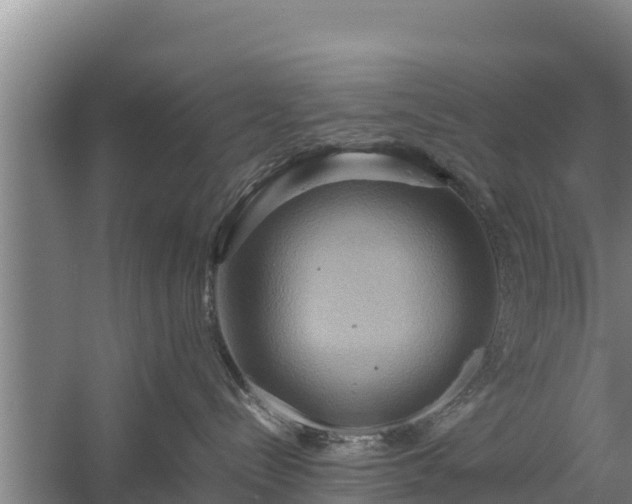 X0000058130288200509302001