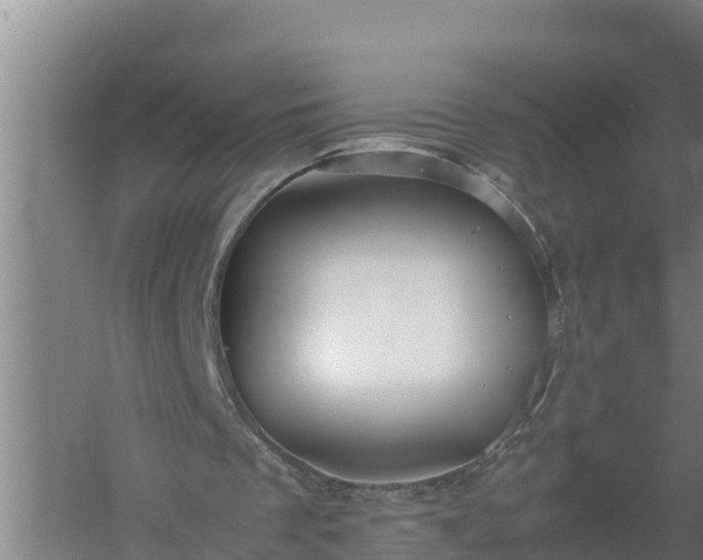 X0000058130289200509302000