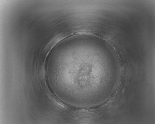 X0000058130290200509302000