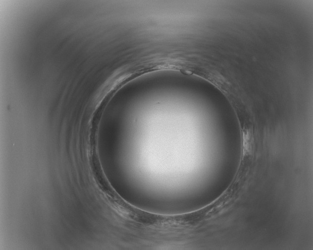 X0000058130291200509302000