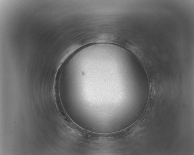 X0000058130292200509302000