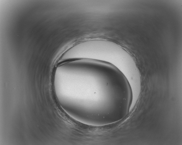 X0000058130293200509302000