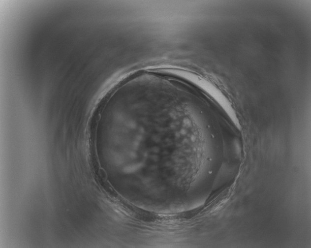 X0000058130295200509302000