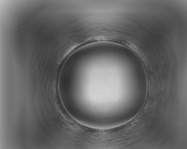 X0000058130297200509302000