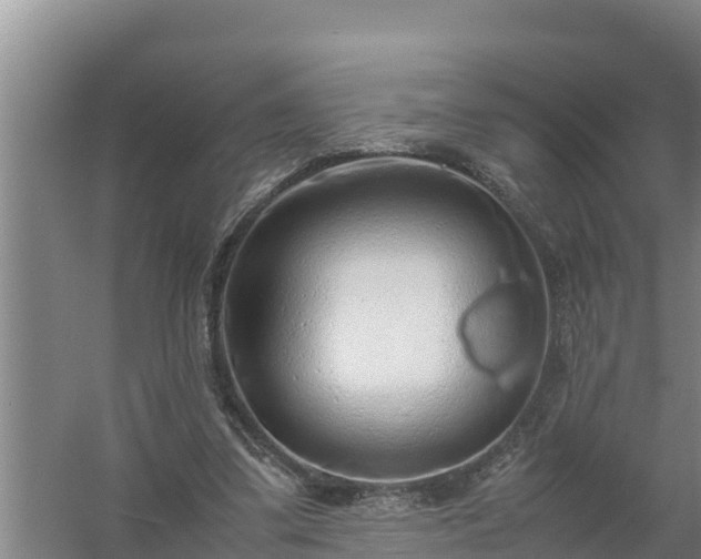 X0000058130299200509302000