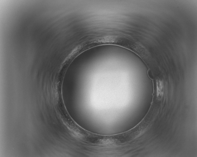 X0000058130300200509302000