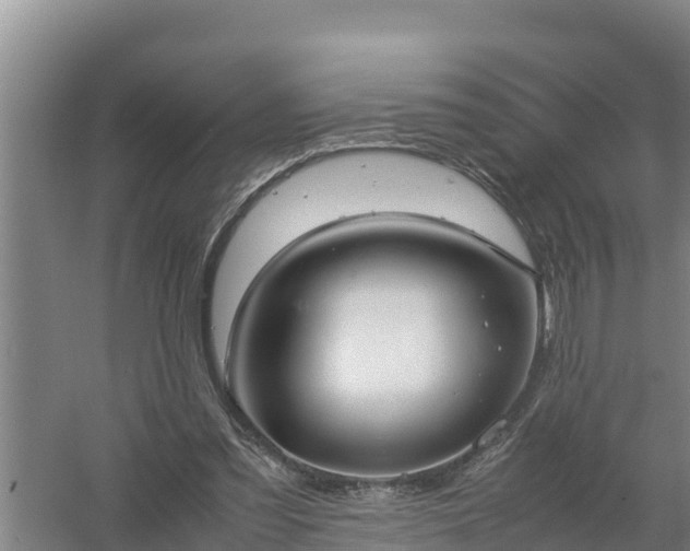 X0000058130301200509302000