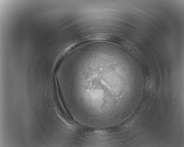 X0000058130302200509302000