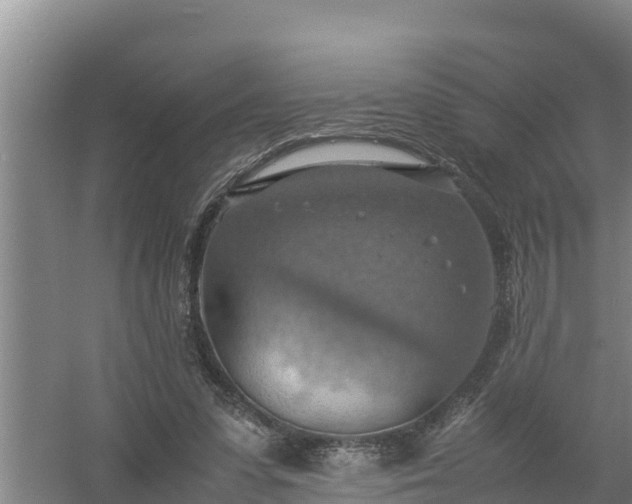 X0000058130303200509302000