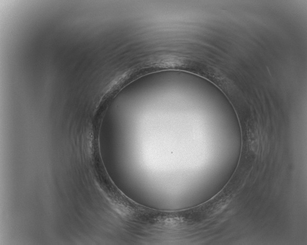 X0000058130304200509302000