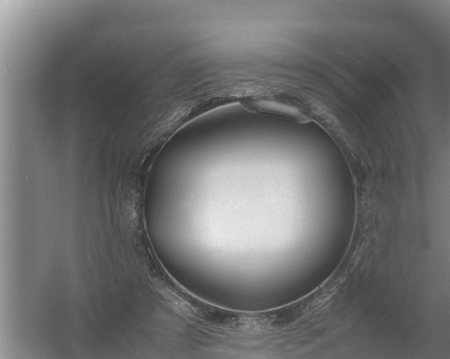 X0000058130305200509302000