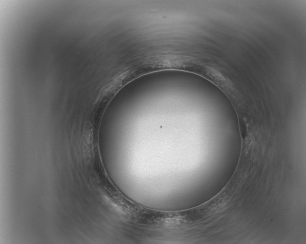 X0000058130306200509302000