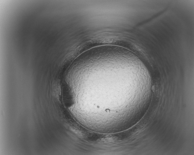 X0000058130307200509302000