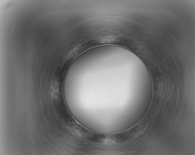 X0000058130308200509302000