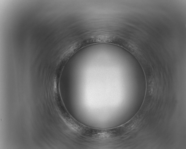 X0000058130310200509301959