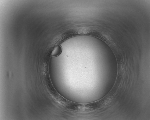 X0000058130311200509301959