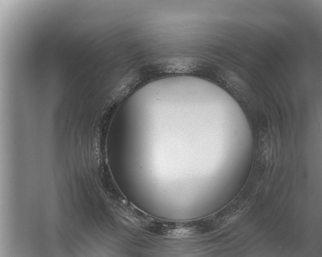 X0000058130312200509301959