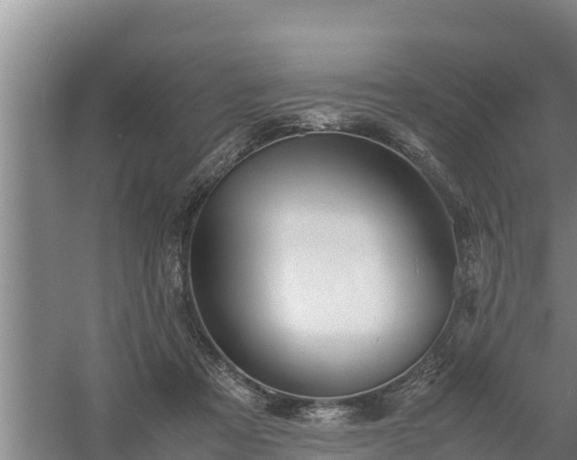 X0000058130313200509301959