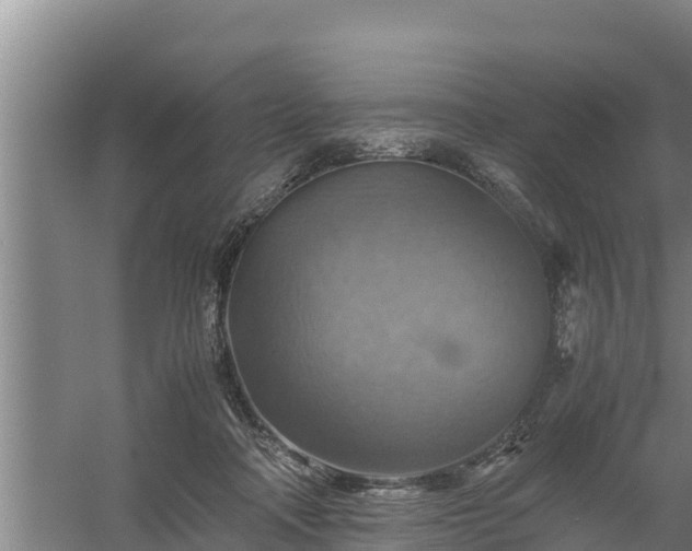 X0000058130314200509301959