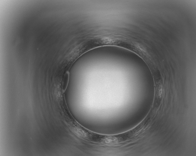 X0000058130317200509301959